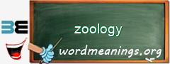 WordMeaning blackboard for zoology